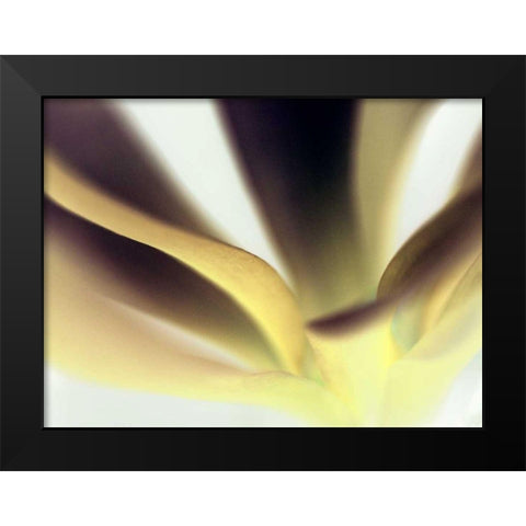 Petal II Black Modern Wood Framed Art Print by Ling, Tang