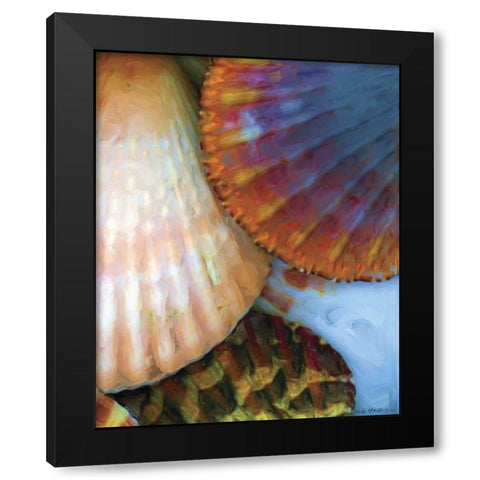 Shell Extraction IV Black Modern Wood Framed Art Print with Double Matting by Henry, Lola