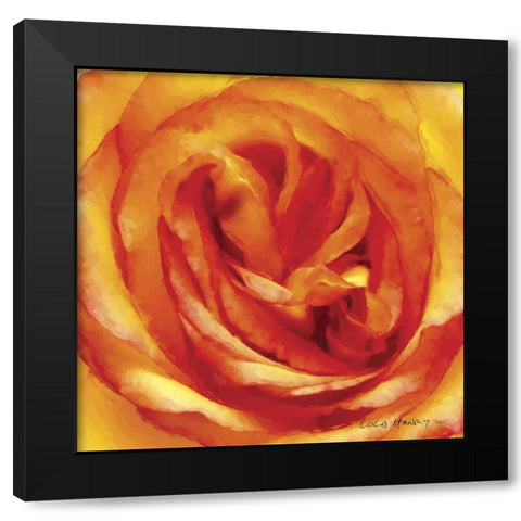 Painterly Flower I Black Modern Wood Framed Art Print with Double Matting by Henry, Lola