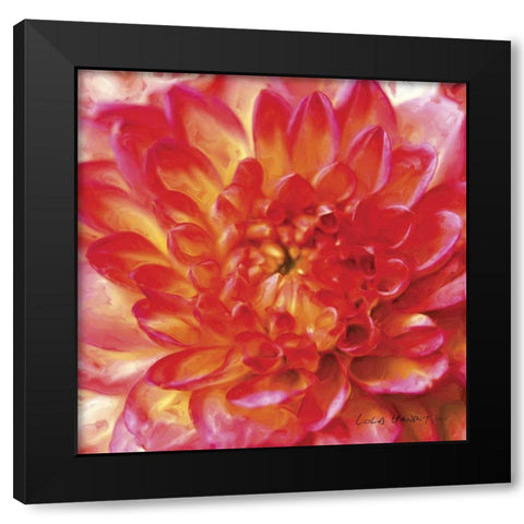 Painterly Flower II Black Modern Wood Framed Art Print by Henry, Lola