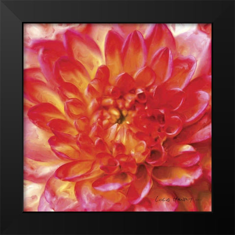 Painterly Flower II Black Modern Wood Framed Art Print by Henry, Lola