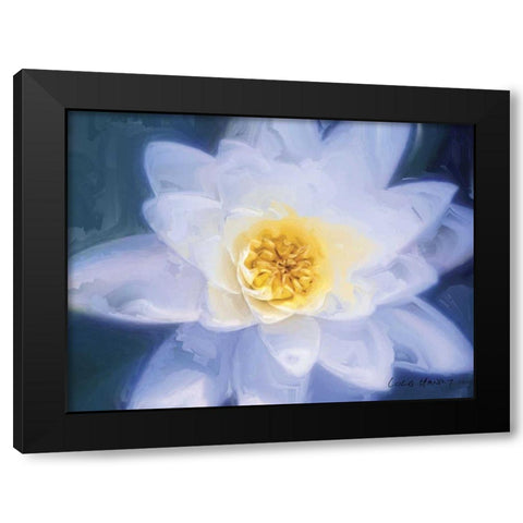 Painterly Flower III Black Modern Wood Framed Art Print by Henry, Lola