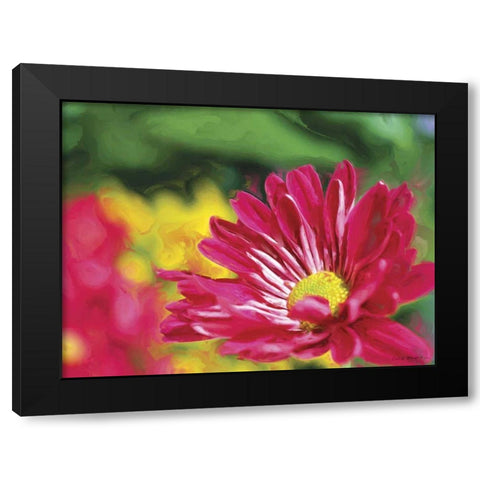 Painterly Flower VI Black Modern Wood Framed Art Print with Double Matting by Henry, Lola