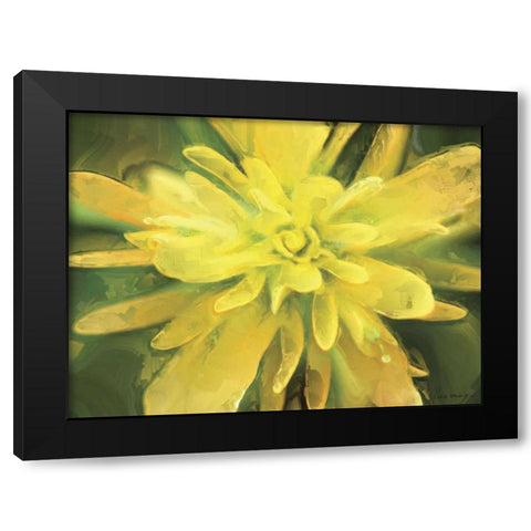 Painterly Flower VII Black Modern Wood Framed Art Print with Double Matting by Henry, Lola