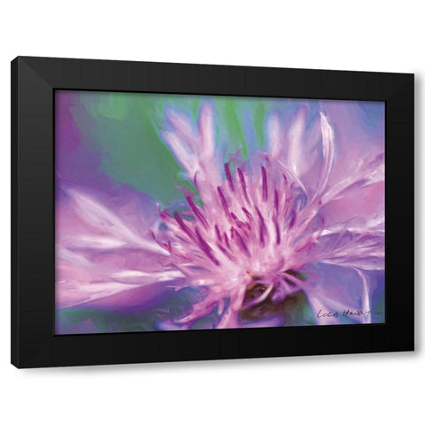 Painterly Flower VIII Black Modern Wood Framed Art Print by Henry, Lola