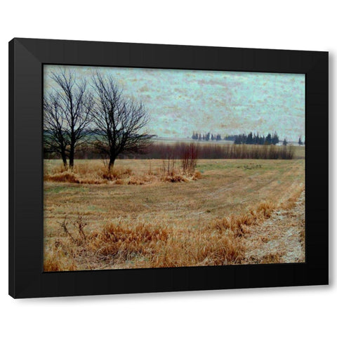 Fields I Black Modern Wood Framed Art Print with Double Matting by Harrington, Danielle