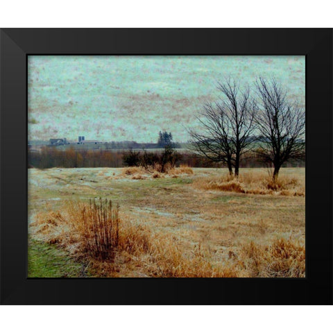 Fields II Black Modern Wood Framed Art Print by Harrington, Danielle