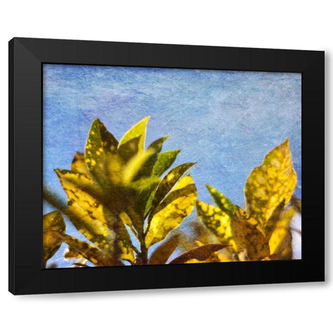 Sun Toward I Black Modern Wood Framed Art Print with Double Matting by Robinson, Emily