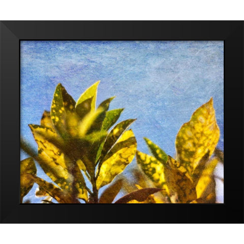 Sun Toward I Black Modern Wood Framed Art Print by Robinson, Emily