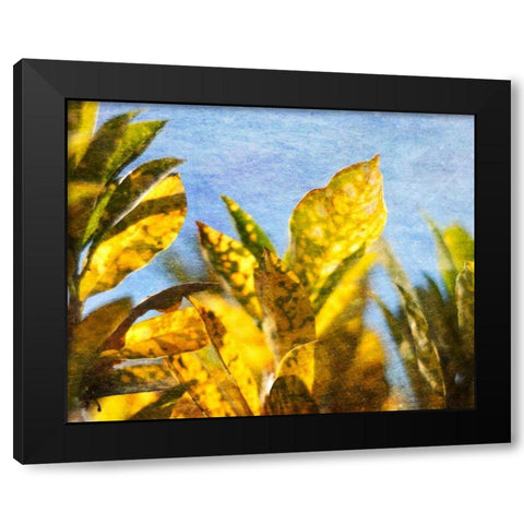 Sun Toward II Black Modern Wood Framed Art Print by Robinson, Emily