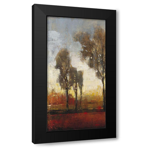 Tall Trees I Black Modern Wood Framed Art Print with Double Matting by OToole, Tim
