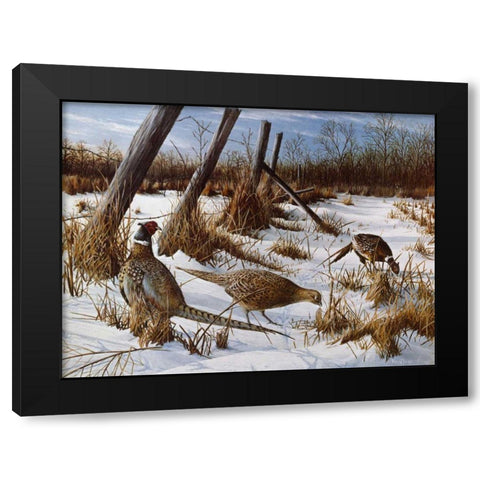 Daybreak Black Modern Wood Framed Art Print with Double Matting by Daniel, Kevin