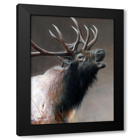 American Icon - Elk Black Modern Wood Framed Art Print with Double Matting by Daniel, Kevin