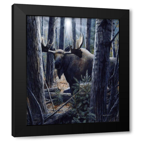 King of the Northwoods Black Modern Wood Framed Art Print with Double Matting by Daniel, Kevin
