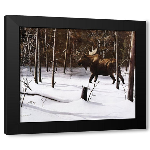 Winter Forage Black Modern Wood Framed Art Print by Daniel, Kevin