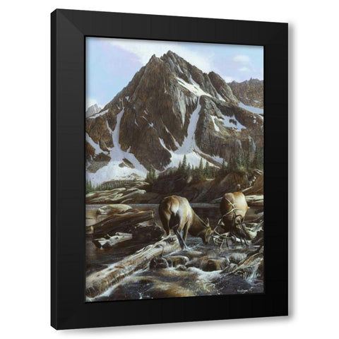 Mountainside Elk II Black Modern Wood Framed Art Print by Daniel, Kevin