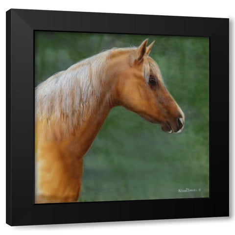 Palomino Black Modern Wood Framed Art Print with Double Matting by Daniel, Kevin