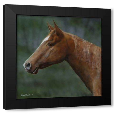 Quarter Horse Black Modern Wood Framed Art Print by Daniel, Kevin