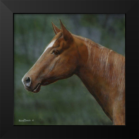 Quarter Horse Black Modern Wood Framed Art Print by Daniel, Kevin
