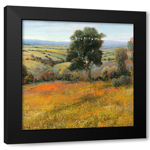 Field in Summer Black Modern Wood Framed Art Print by OToole, Tim