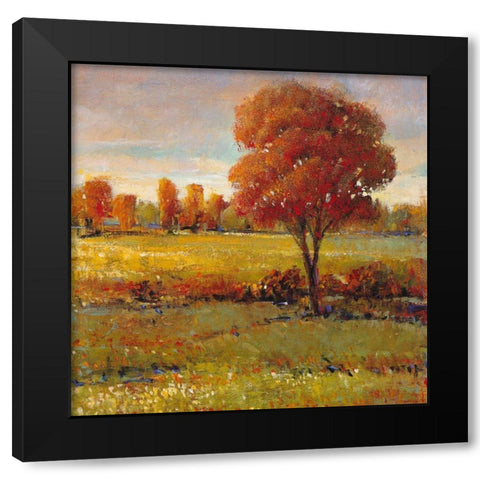 Field in Fall Black Modern Wood Framed Art Print with Double Matting by OToole, Tim
