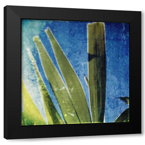 Tropical Memory II Black Modern Wood Framed Art Print by Robinson, Emily