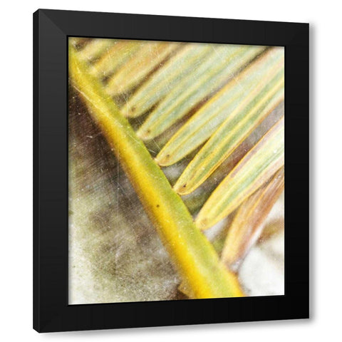 Frond Study II Black Modern Wood Framed Art Print by Robinson, Emily