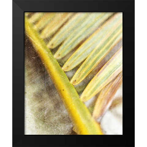 Frond Study II Black Modern Wood Framed Art Print by Robinson, Emily