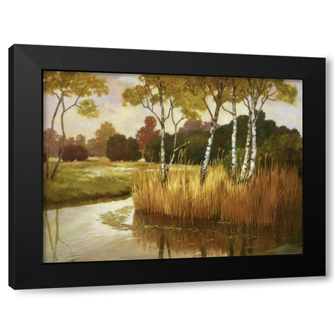 Reeds, Birches and Water II Black Modern Wood Framed Art Print by Reynolds, Graham