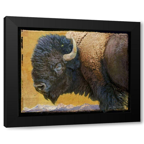 Bison Portrait III Black Modern Wood Framed Art Print by Vest, Chris