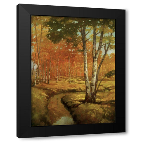 Woodland Stream II Black Modern Wood Framed Art Print with Double Matting by Reynolds, Graham