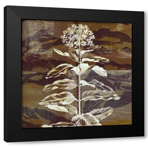 Prairie Mix VI Black Modern Wood Framed Art Print with Double Matting by Butler, John