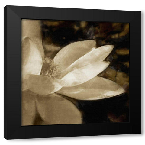 Bronze Lily IV Black Modern Wood Framed Art Print by Bay, Noah