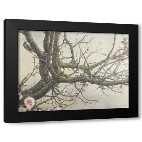 Apricot Creeper Black Modern Wood Framed Art Print by Vest, Chris