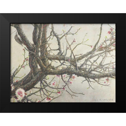 Apricot Creeper Black Modern Wood Framed Art Print by Vest, Chris