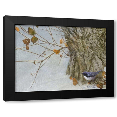Late Snow Warbler Black Modern Wood Framed Art Print with Double Matting by Vest, Chris