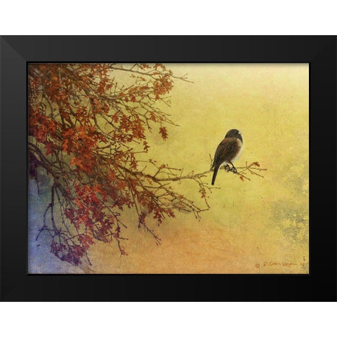 Snow Oak Junco Black Modern Wood Framed Art Print by Vest, Chris