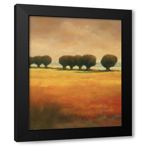 Pollard Willow II Black Modern Wood Framed Art Print with Double Matting by Reynolds, Graham