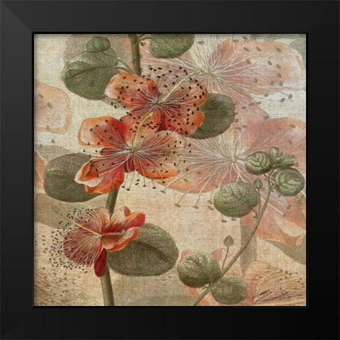 Desert Botanicals I Black Modern Wood Framed Art Print by Butler, John