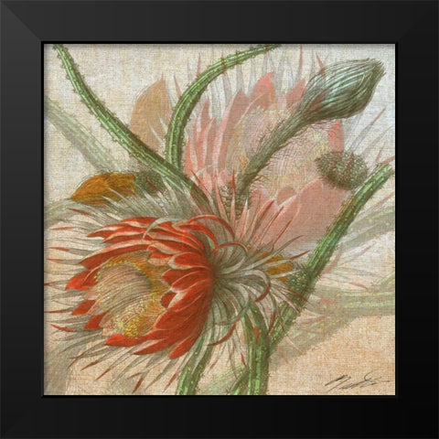 Desert Botanicals II Black Modern Wood Framed Art Print by Butler, John