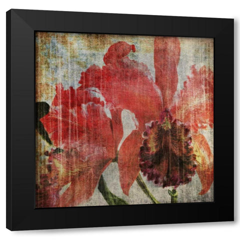Pacific Orchid I Black Modern Wood Framed Art Print by Butler, John