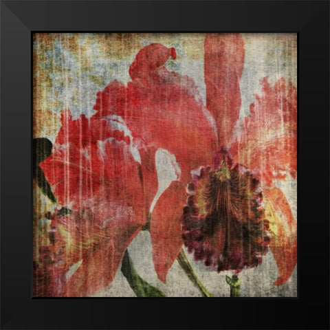 Pacific Orchid I Black Modern Wood Framed Art Print by Butler, John