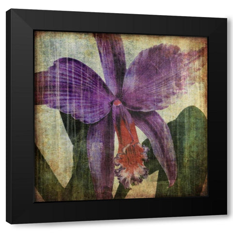 Pacific Orchid II Black Modern Wood Framed Art Print by Butler, John