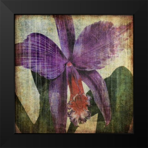 Pacific Orchid II Black Modern Wood Framed Art Print by Butler, John