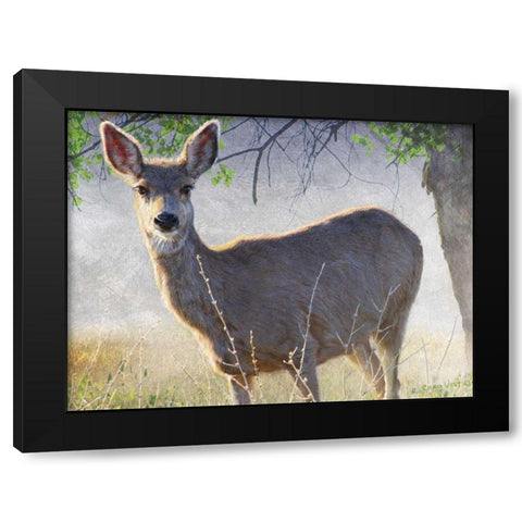 Spring Doe Black Modern Wood Framed Art Print with Double Matting by Vest, Chris