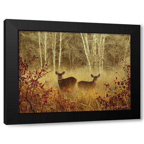 Foggy Deer Black Modern Wood Framed Art Print with Double Matting by Vest, Chris