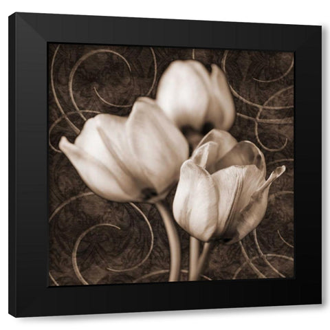 Tulip and Swirls I Black Modern Wood Framed Art Print by Zalewski, Christine