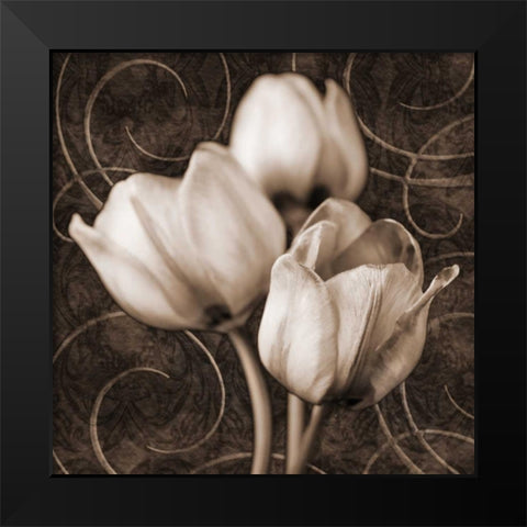 Tulip and Swirls I Black Modern Wood Framed Art Print by Zalewski, Christine