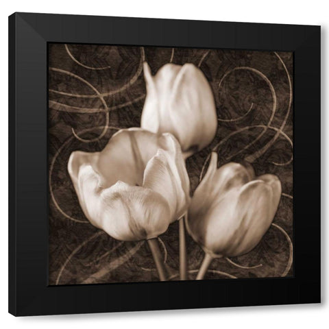 Tulip and Swirls II Black Modern Wood Framed Art Print with Double Matting by Zalewski, Christine
