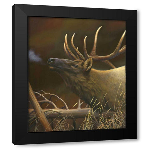 Elk Portrait I Black Modern Wood Framed Art Print with Double Matting by Stans, Leo